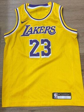 Nike Los Angeles Lakers LeBron James #23 Jersey – Medium M (10/12) – Custom Embr